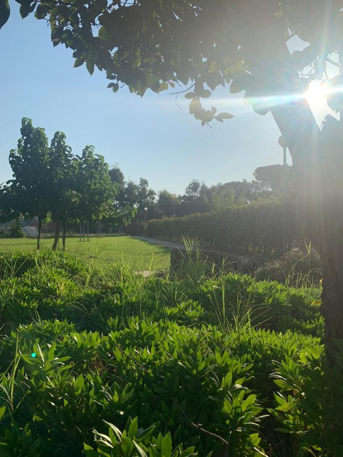 Agriostello Riparo Anzio Dış mekan fotoğraf